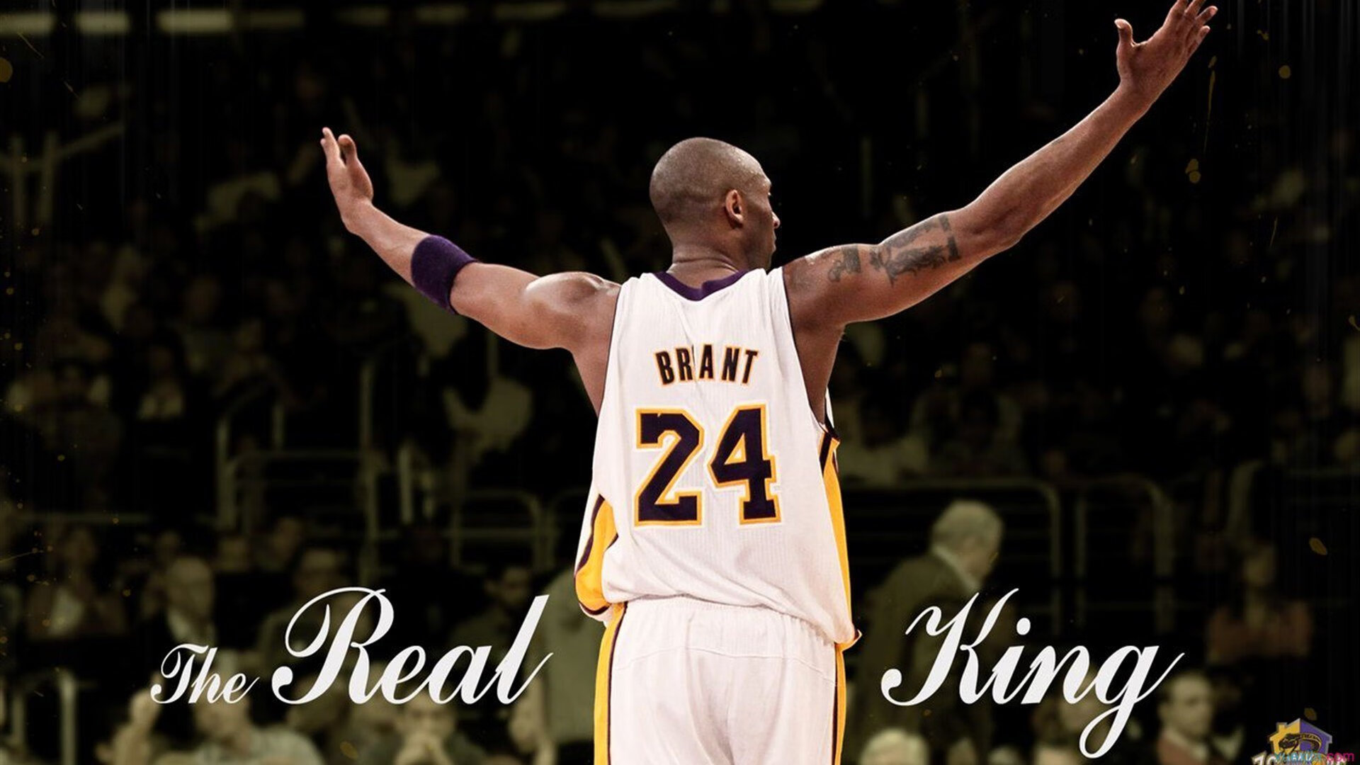 今年联盟最受关注的明星控卫是谁?,nba联盟最强控卫